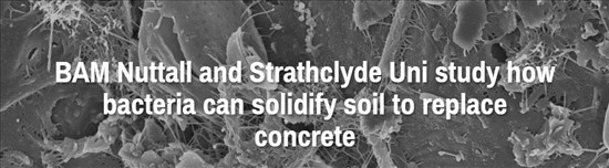 BAM Nuttall and Strathclyde Uni study how bacteria can solidify soil to replace concrete (Photo Credit To Anthony D'Onofrio)
