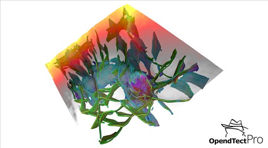 OpendTect Pro