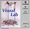 Visual Lab_CivilTech-1